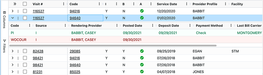 Expanded visit row showing its related financial transactions beneath it